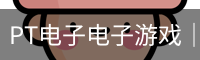 PT电子